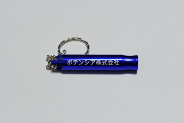 マイ防災プロジェクト2025